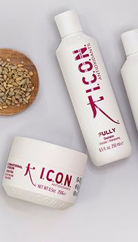 Productos de ICON